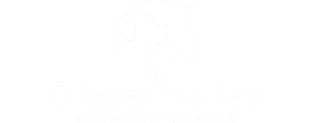Valley hot sale veterinary services